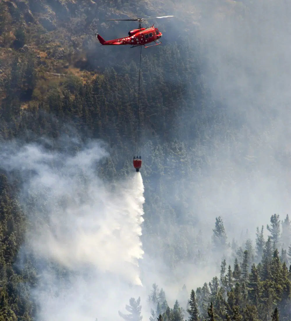 Bambi Bucket