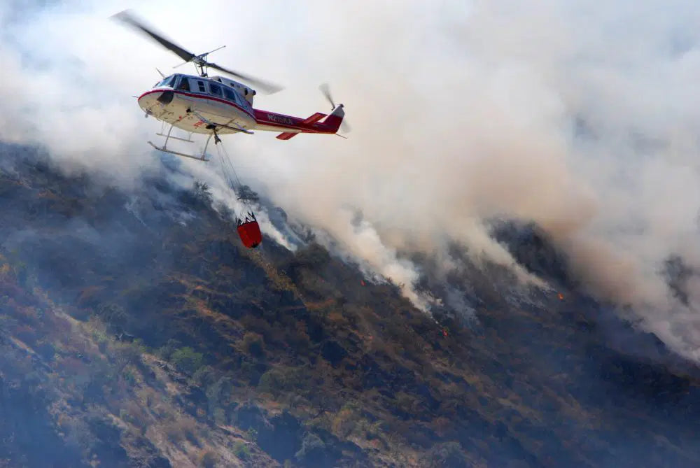 Bambi Bucket