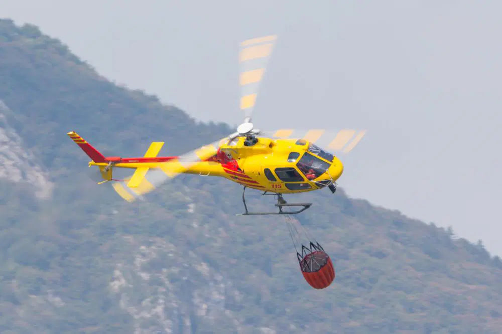 Bambi Bucket