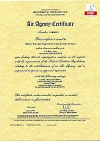 Air Agency Certificate PDF