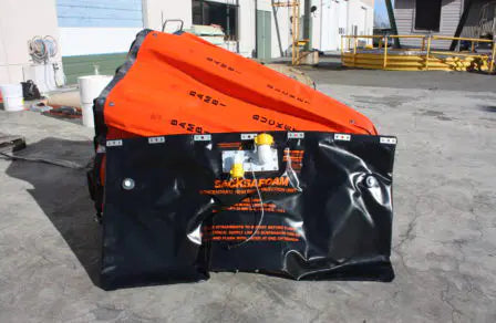 Sacksafoam Bladder