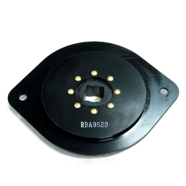 RBA9829